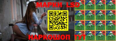 сатива Краснознаменск
