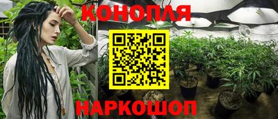 PSILOCYBIN Кулебаки