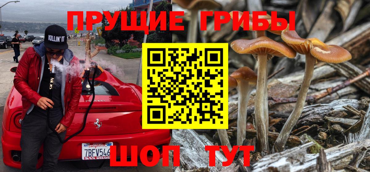 Галлюциногенные грибы мухоморы Карталы
