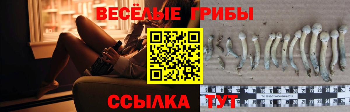 Псилоцибиновые грибы MAGIC MUSHROOMS  Псилоцибиновые грибы Psilocybine cubensis  Карталы  Вход с VPN 